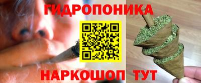 гидра Кингисепп